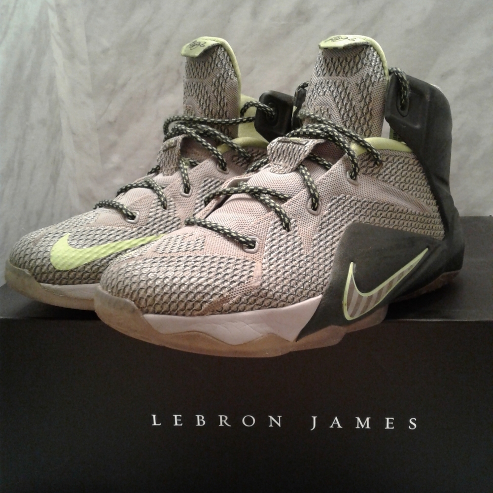Nike Lebron James XII 12 THE KING Dunkman 6y 7.5